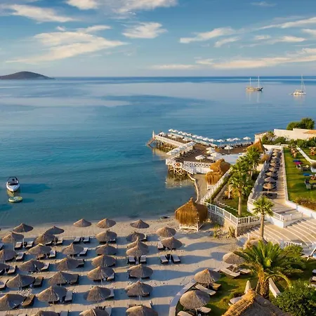 Resort Design Seya
