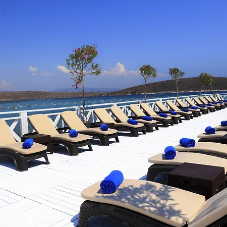 Design Seya Алачати