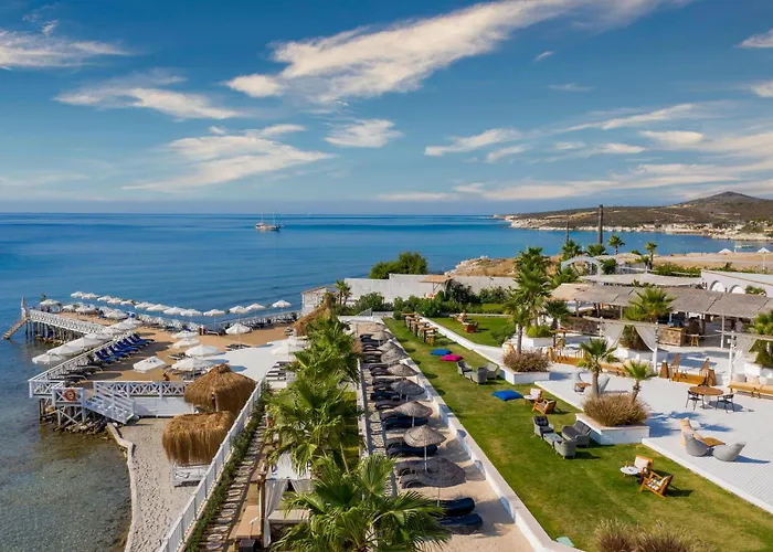 Design Seya ألاتشاتي