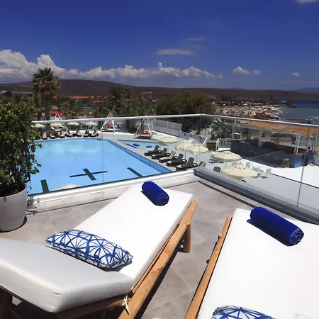 Design Seya Alaçatı